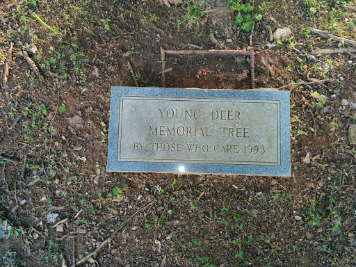 Young Deer Memorial Tree 