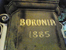 Boronia 1885
