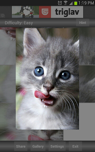 How to get Jigsaw Puzzle: Cute Animals lastet apk for pc