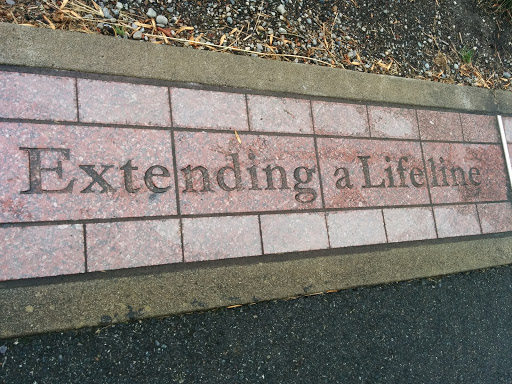 Extending a Lifeline