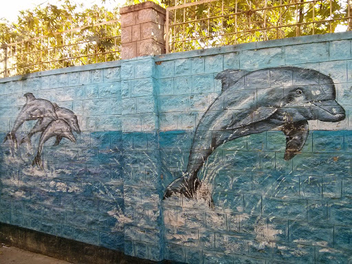 Dolphins Wall Mural