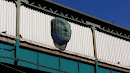 Face on the El