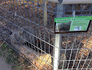 Symbio Zoo Wombat Enclosure