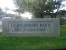 Thunderbird Park 