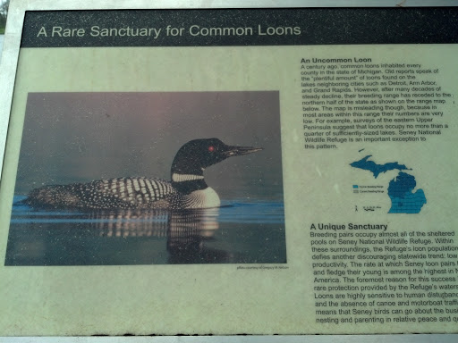 Seney Natl Wildlife Refuse Loon Platform