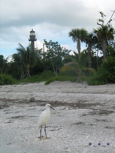Sanibel Island Lighthouse with Egret