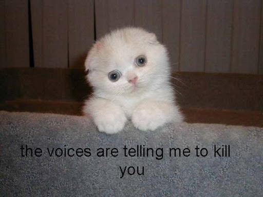 http://lh5.ggpht.com/Bendz1/SAxo0a7_WYI/AAAAAAAAASM/x7ZQQqN_KnA/cat%5B3%5D.jpg
