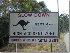 2008_0408australie0081