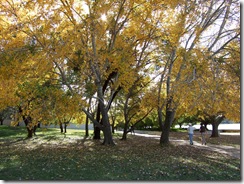 2008_0424austr0066