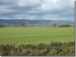 2008_0813atrierplustard0225