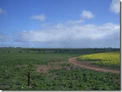 2008_0813atrierplustard0221