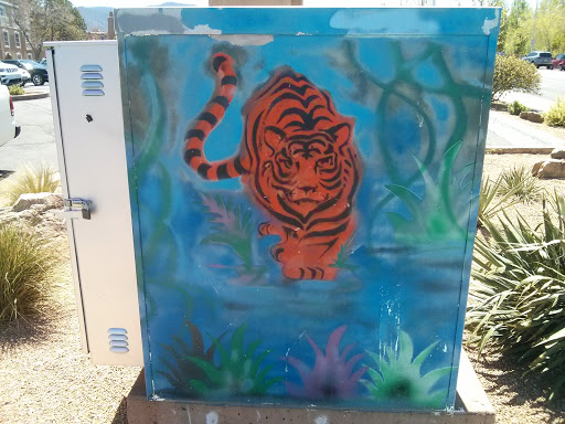 Tiger Spark Box