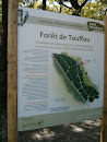 Forêt De Touffou