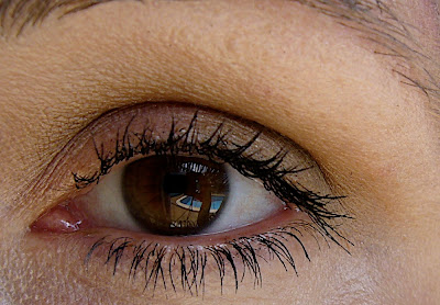 Clinique matte eyeshadows for fall 2008