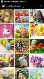 How to get Paste Fericit! 1.1 mod apk for pc