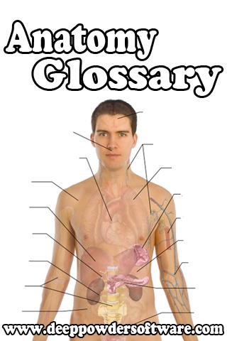 Anatomy Glossary