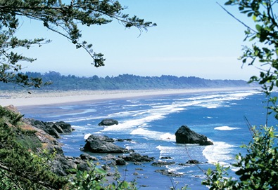 [02.ClamBeach[8].jpg]