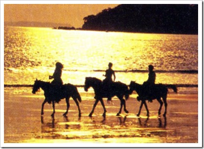 horseback-beach-sunset