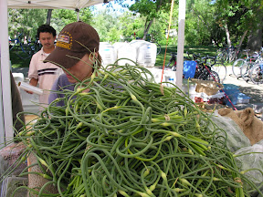Garlic Scapes
