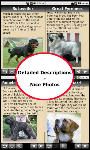 The Complete Dog Directory