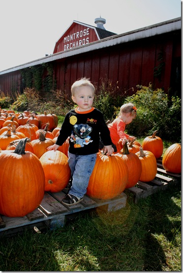 liampumpkin