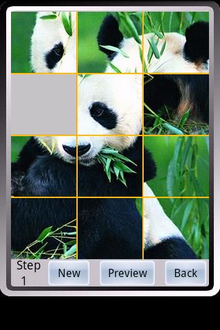 Panda Puzzle