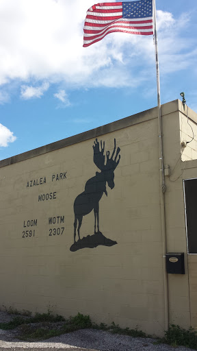 Moose Lodge Art