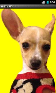 How to install Fifi - The Friendly Chihuahua! lastet apk for bluestacks