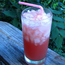Watermelon Gin Fizz