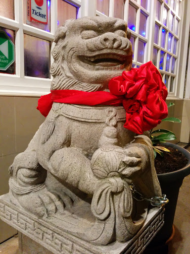 Chinese Lion Colonie