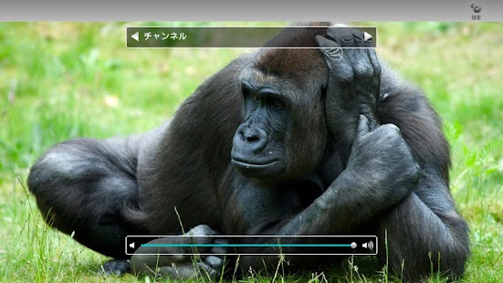 How to download 地デジViewer β版 1.00 apk for laptop