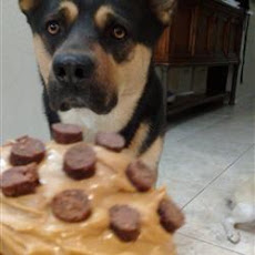 Doggie Birthday Cake