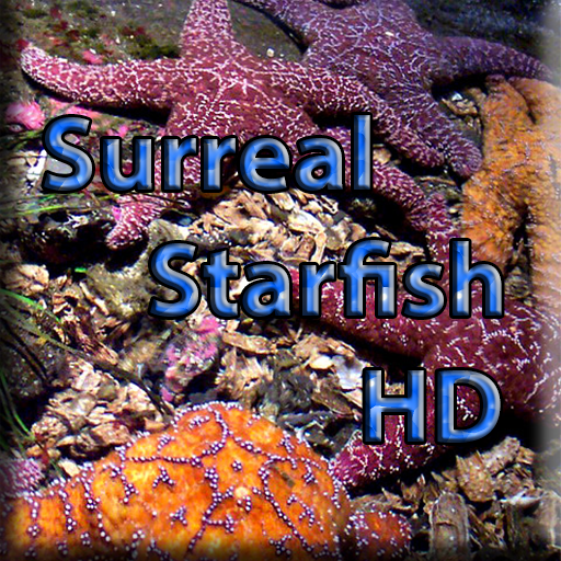 surreal starfish hd lwp 娛樂 App LOGO-APP開箱王