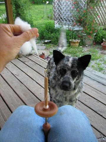 [altospindolynandluke[4].jpg]