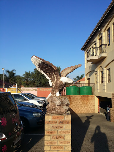 Chatoga Spur Eagle