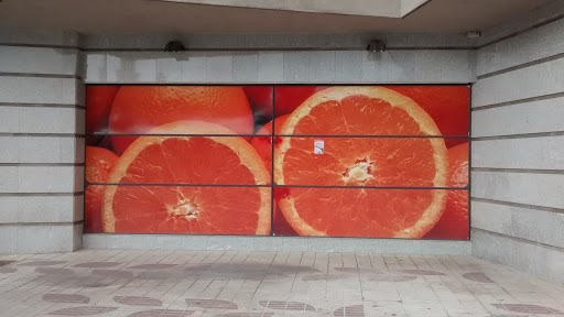 Foto naranjas