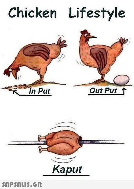 Chicken Lifestyle Out Put 1 Kaput