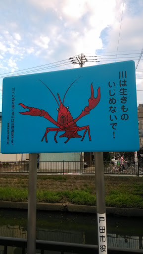 Crayfish Art