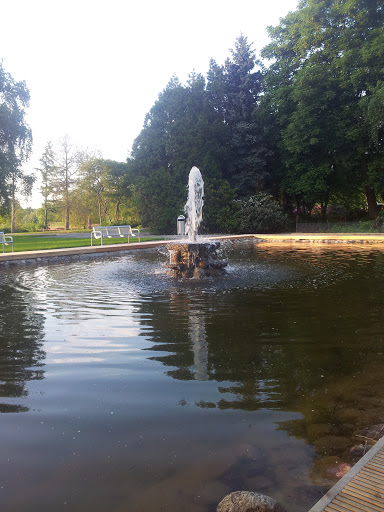 Brunnen Im Park 