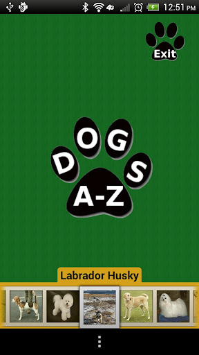 Dogs A-Z