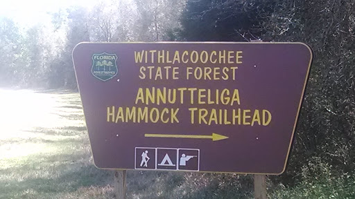 Annutteliga Hammock Trail Head