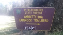 Annutteliga Hammock Trail Head