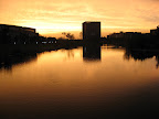 IMG_2595.JPG