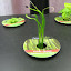 Garlic Chives