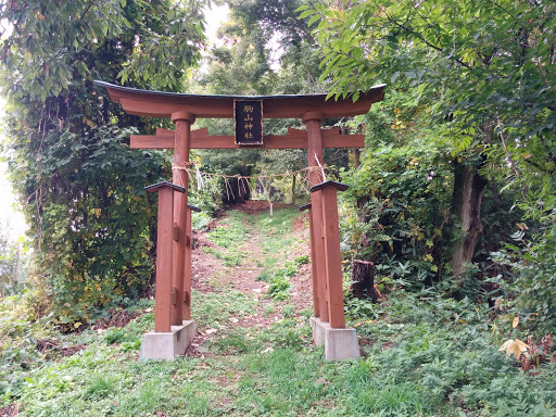 駒山神社　鳥居　東
