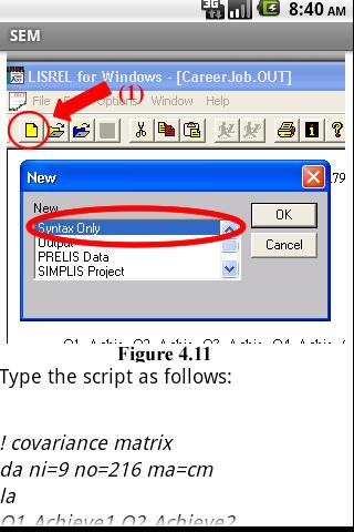 Structural Equation Modeling