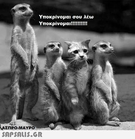 Υποκρινομαι σου λεω ΑΣΠΡΟ-ΜΑΥΡΟ 
