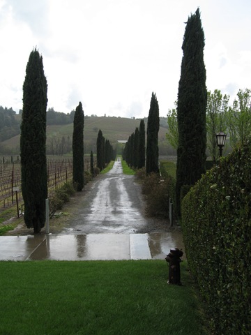 [Napa April 06 050[2].jpg]