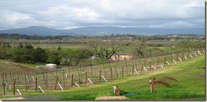 Napa April 06 064
