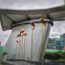 Changi City Point Flamingos